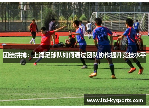 团结拼搏：上海足球队如何通过团队协作提升竞技水平
